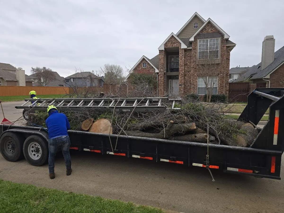 Expert Tree Fertilization with proper safety equipment in Kiron